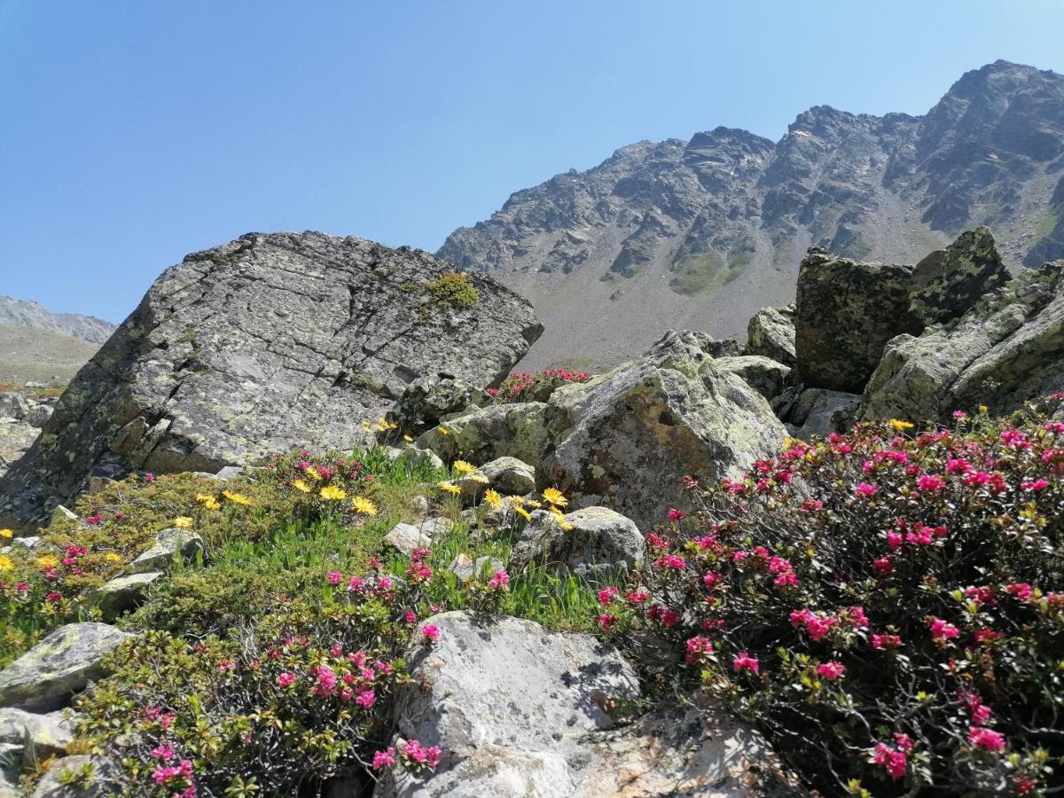 Apartmán Haus Zur Muehle Ried im Oberinntal Exteriér fotografie
